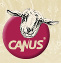 Canus 肯拿士