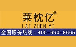 莱枕亿LAIZHENYI